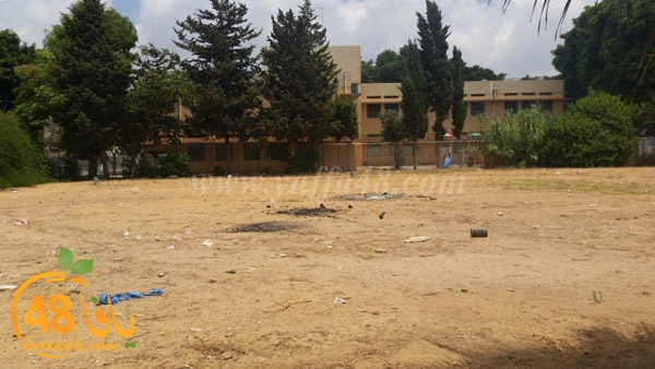 3oshb akhdar (2).jpg